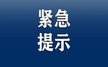 《紧急救援》观后感参考8篇