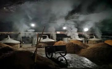关于酒的感悟和心得最新8篇