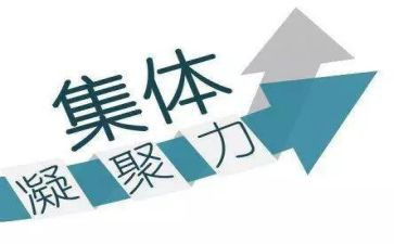 团队与凝聚力培训心得8篇