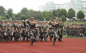 军训总结及心得体会推荐8篇