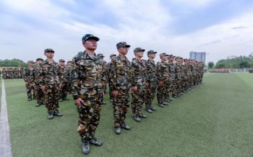 搜军训的心得体会通用8篇