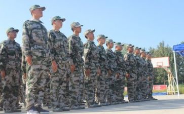 800字军训心得优质5篇