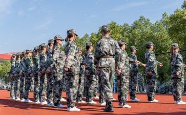 800字军训心得通用7篇