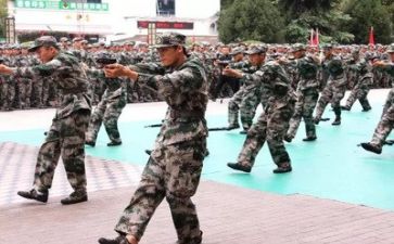 军训的心得500字7篇