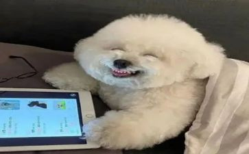 我开心了作文600字5篇