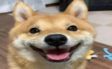 那一次,我开心作文优秀7篇