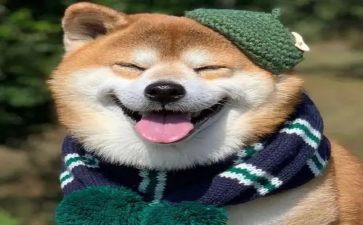 我是开心果作文推荐7篇