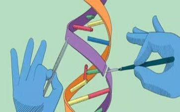 科学鱼的活动教案精选7篇