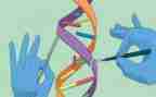 科学鱼的活动教案精选7篇