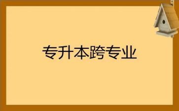 跨专业的毕业实习报告推荐8篇