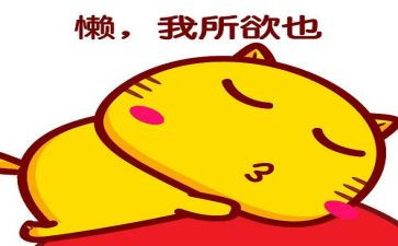 懒的感悟心得体会优质5篇