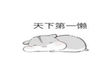 我的懒老师作文优秀5篇