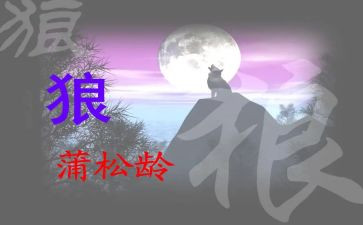 《狼》的心得体会优秀7篇