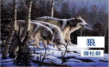 《狼》读后感500字6篇