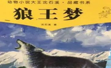 狼王梦的读后感800字8篇