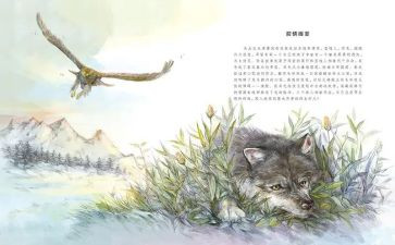 l狼王梦的读后感最新5篇