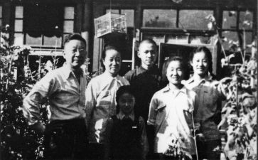 老舍的《兔》读后感7篇