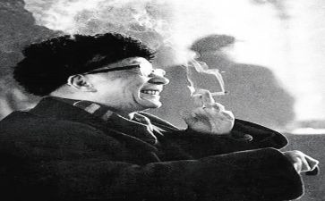 小麻雀老舍读后感7篇
