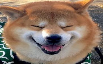 音乐的作文优质6篇