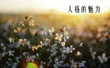 听魅力后心得体会6篇