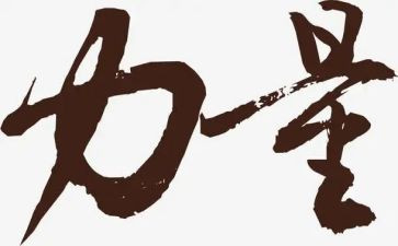 团结的力量心得体会7篇