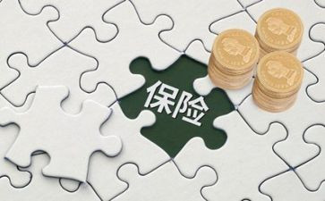 保险理赔的心得体会8篇