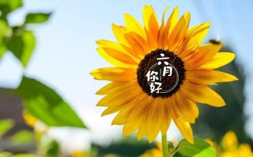 六月的天作文5篇