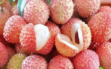 吃荔枝的小作文参考8篇