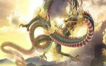 龙应台读后感5篇