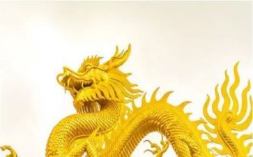 关于龙的作文600字参考8篇