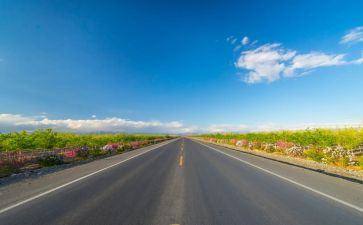 道路交通申请书8篇