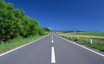 我的指路人作文7篇