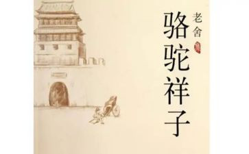 老舍骆驼祥子读后感800字8篇