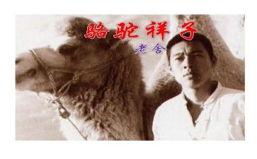 骆驼祥子5到12章读后感5篇
