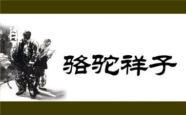 骆驼祥子的阅读心得6篇