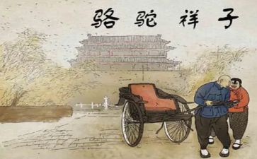 骆驼祥子的阅读心得600字7篇