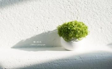 慢生活心得通用6篇
