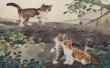 天猫客服的工作总结6篇