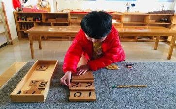 幼儿园大班蒙氏数学教案6篇
