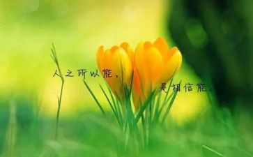 名人的小作文8篇