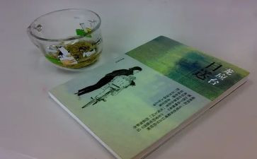 龙应台的目送《目送》读后感7篇
