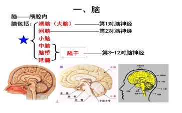 电脑销售实习报告通用5篇