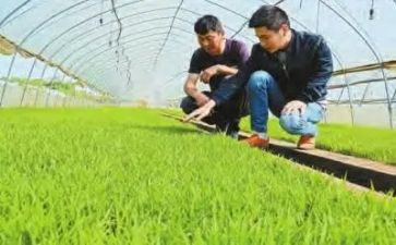 参加农技培训的心得体会5篇