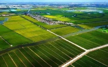 华南农业大学实习报告5篇
