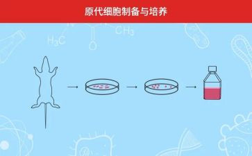 名教师的培养心得体会8篇