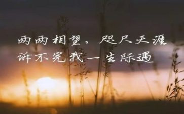 我牵挂作文600字6篇
