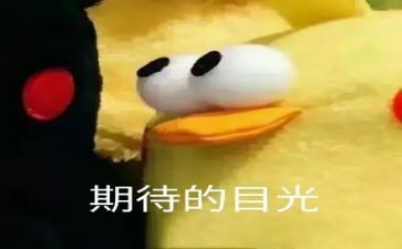 我期待的作文600字优质6篇