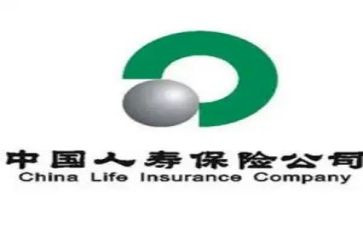 中国人寿实习报告6篇