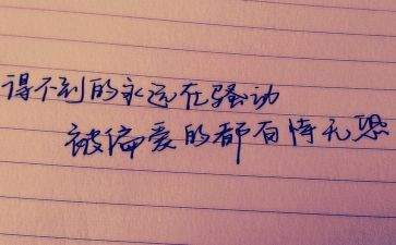 公司个人心得精选5篇