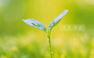 初三月考讲话稿8篇